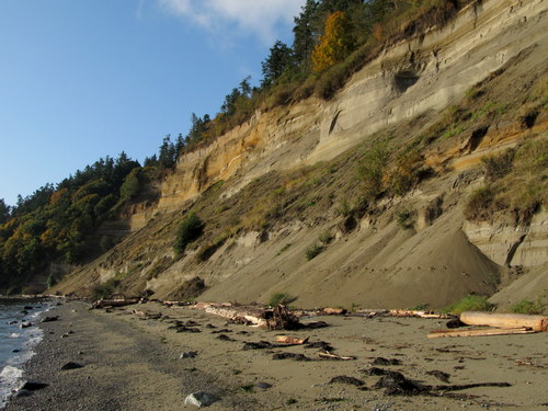 lilypoint feeder bluff