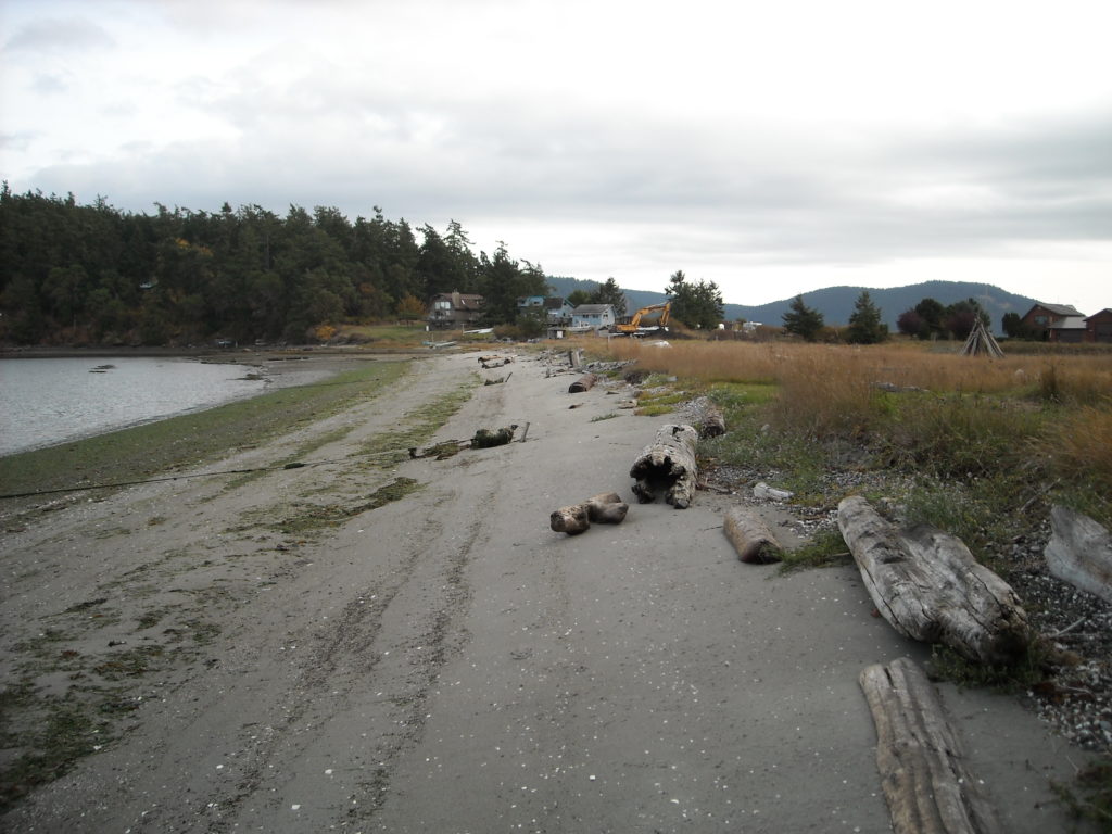 Forage Fish Spawn Habitat Restoration (Lopez)