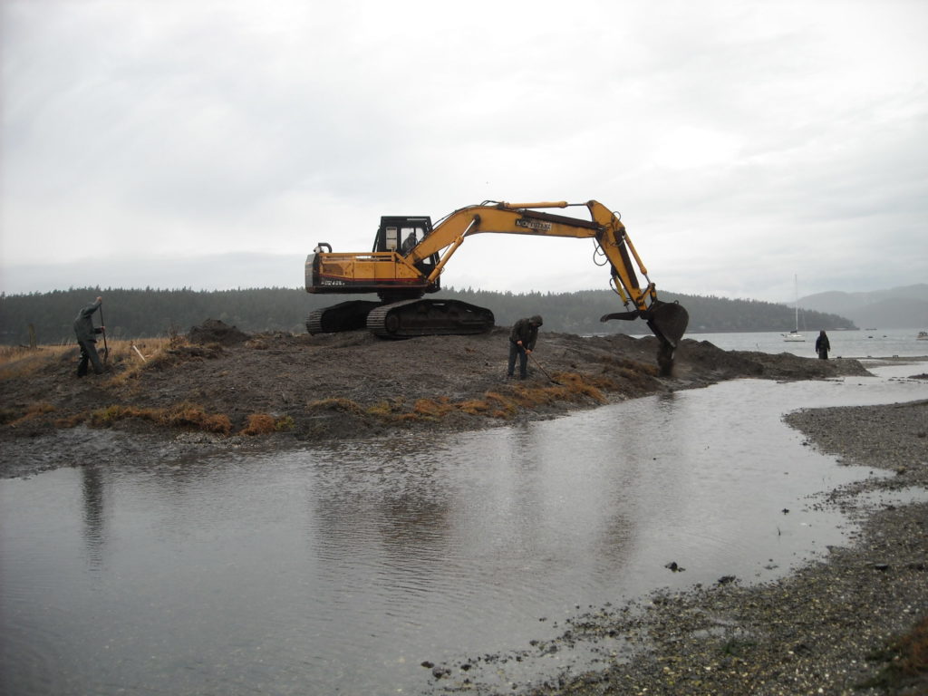 Shoal Bay Tide Channel & Lagoon Restoration (Lopez)