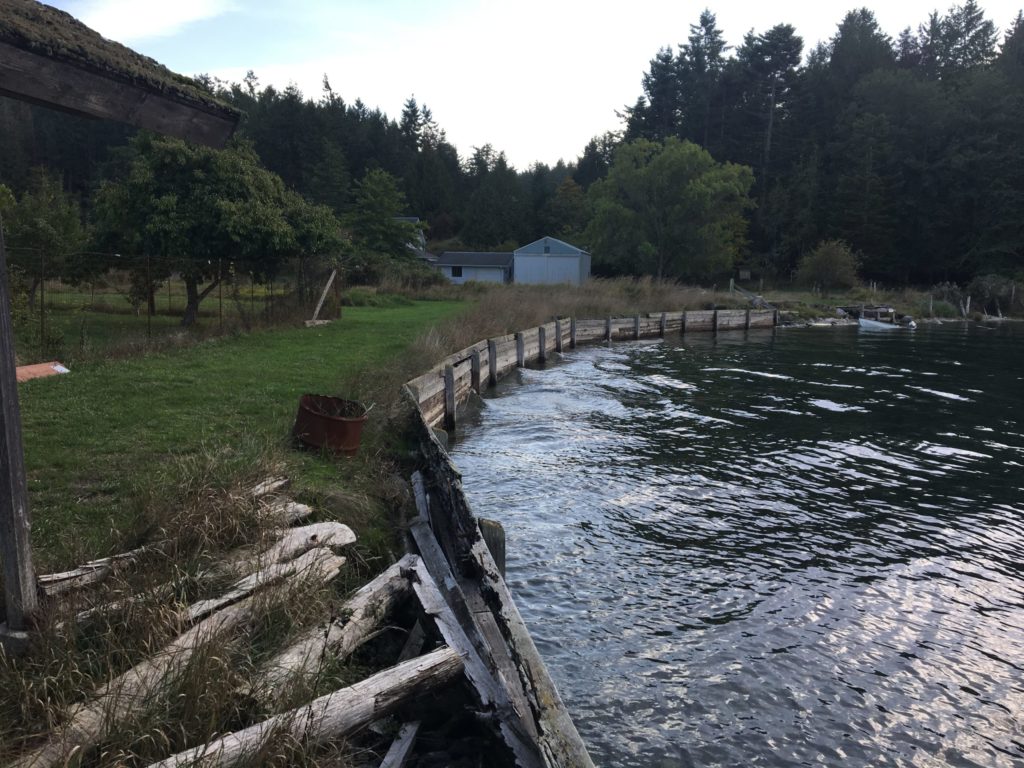 Broken Point Beach Habitat Restoration (Shaw)