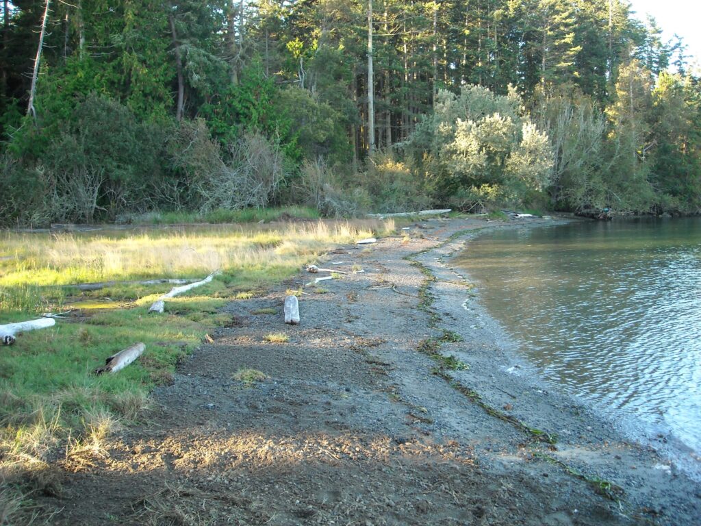 Turn Point Marsh and Beach Restoration (San Juan)