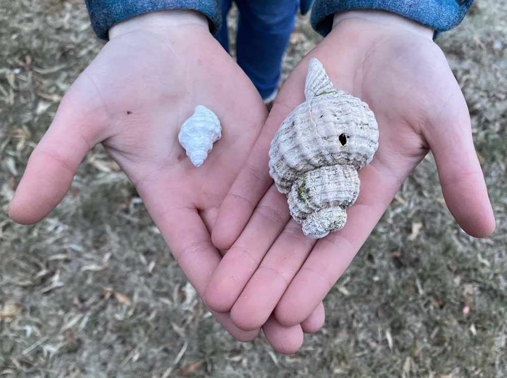 Business and Organizations that Show Up for Friends!