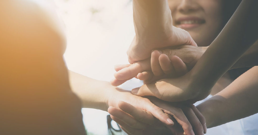 Volunteer Spotlight: Marni Zimlin