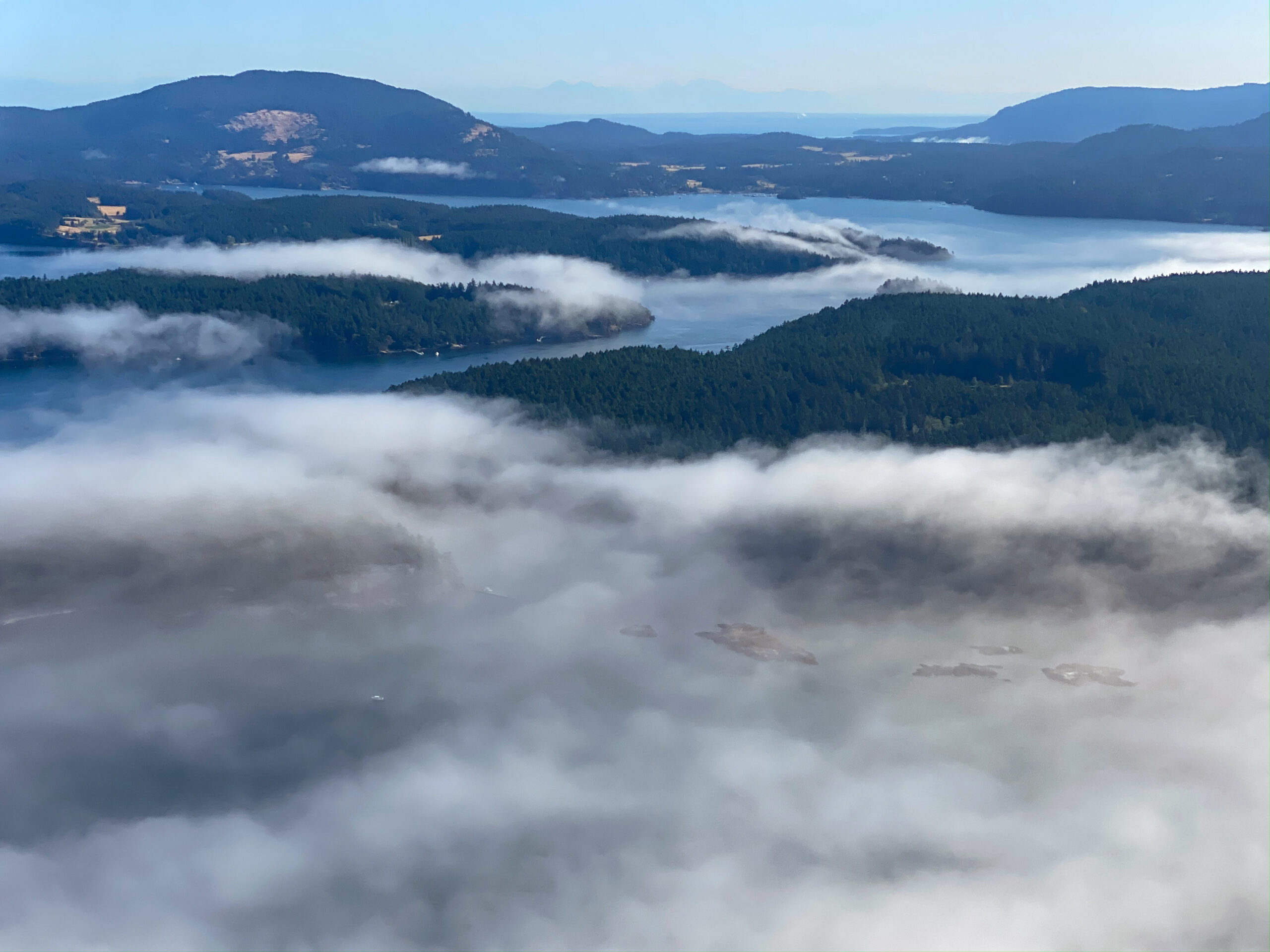 Welcoming three new board members!