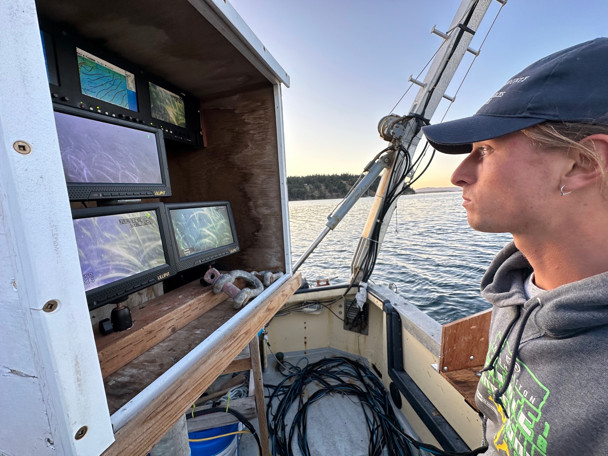 Collaborative Eelgrass Research Underway! - Friends of the San Juans