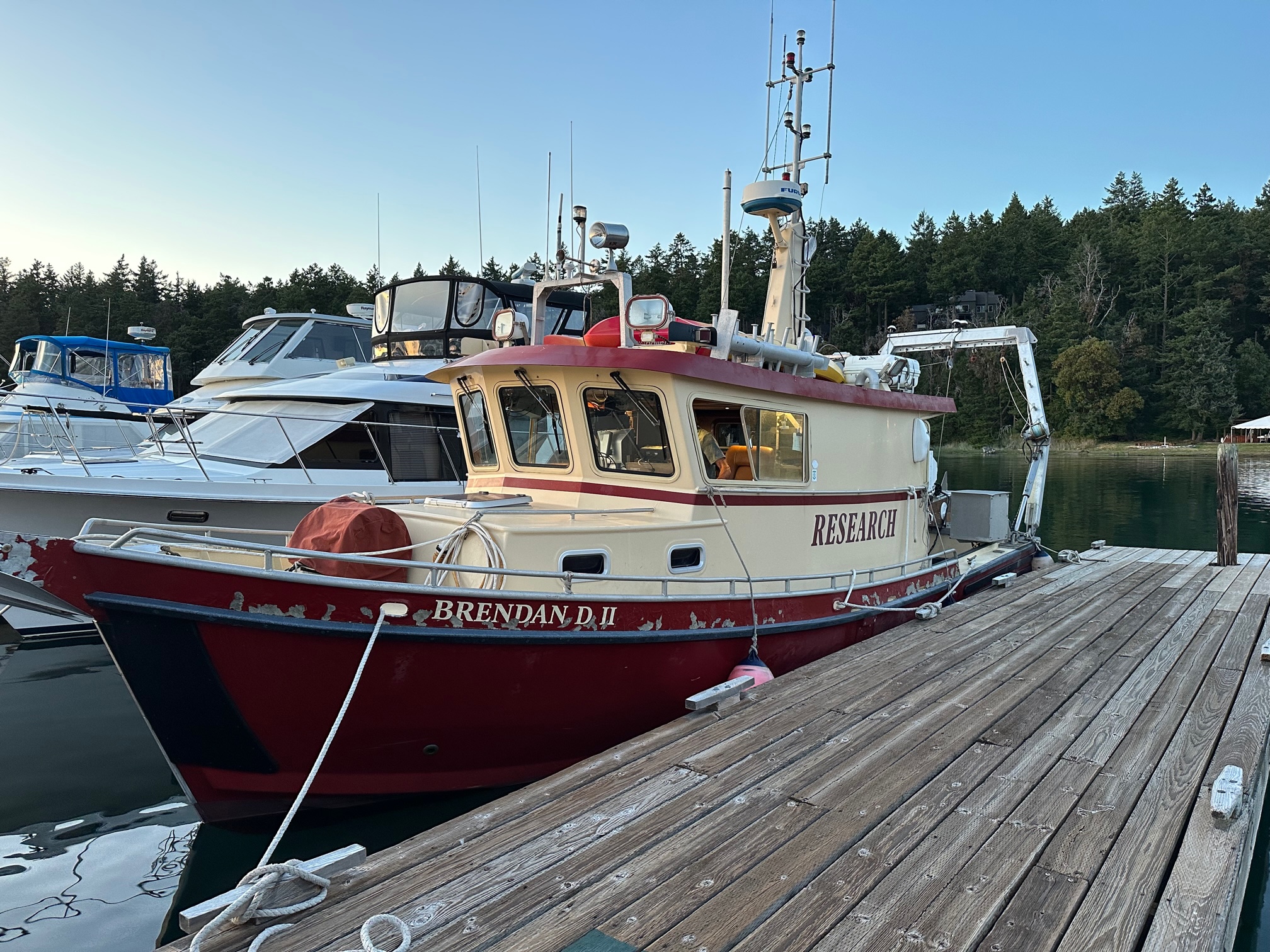 Collaborative Eelgrass Research Underway! - Friends of the San Juans