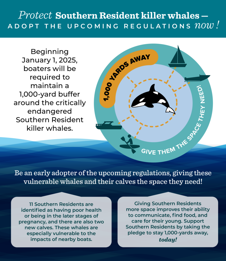 Protect Southern Resident killer Whales. Adopt the upcoming regulations now!