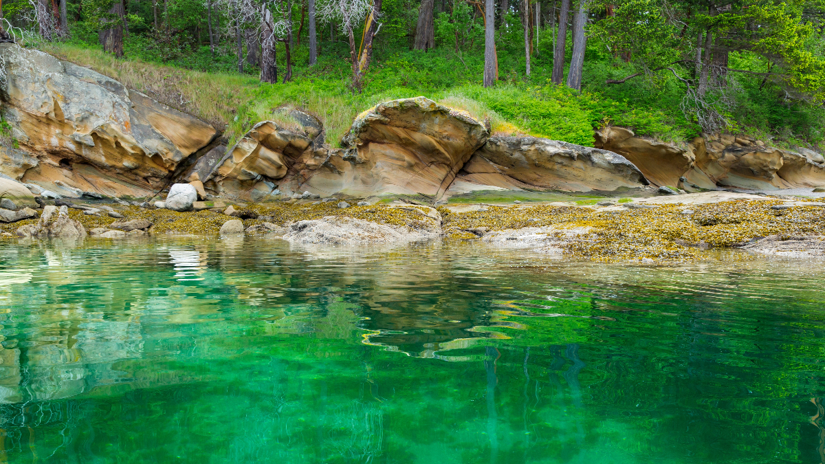 Thank You, Science Advisors!