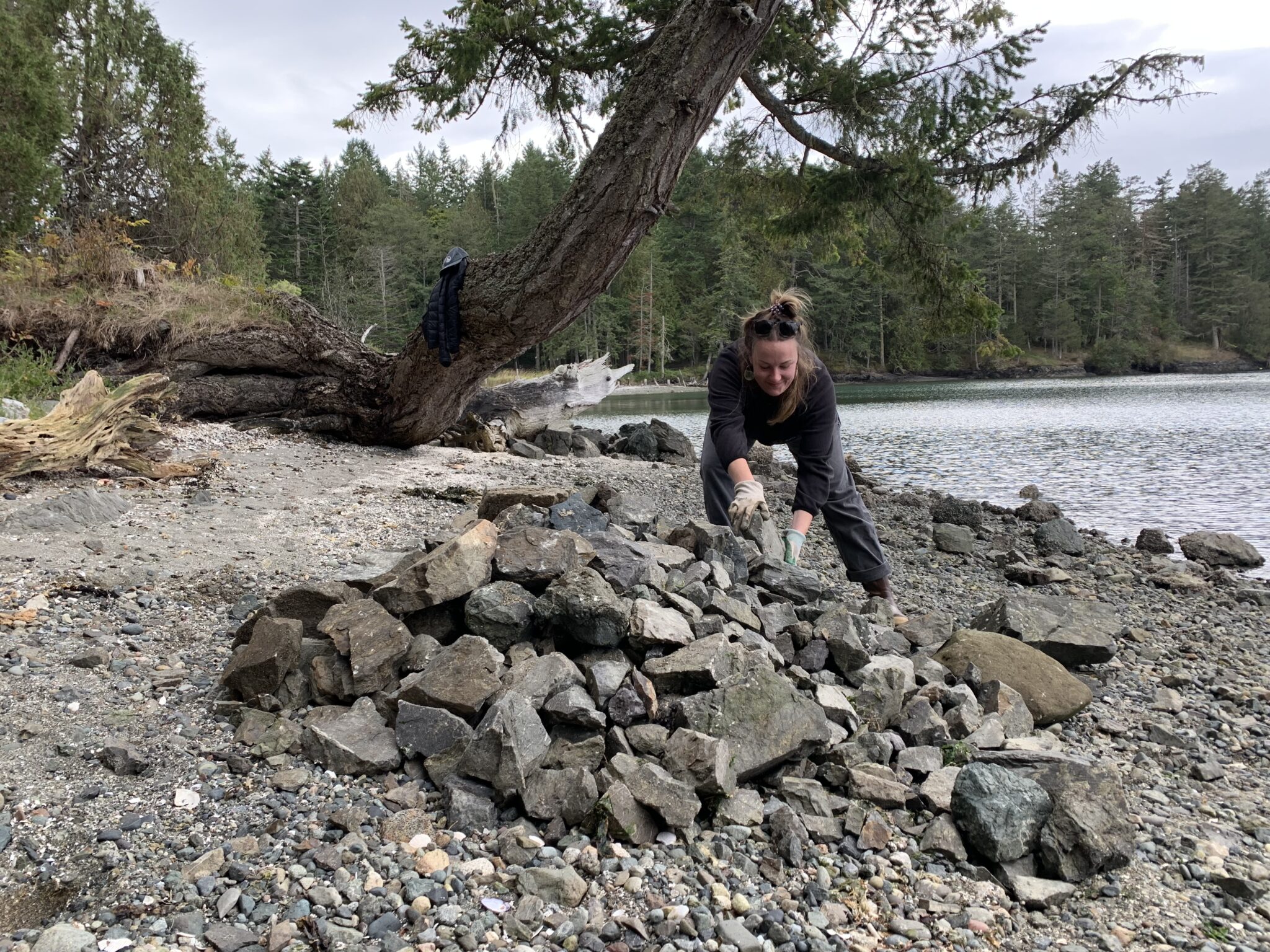 The Rebirth of a Beach With a Big Impact - Friends of the San Juans