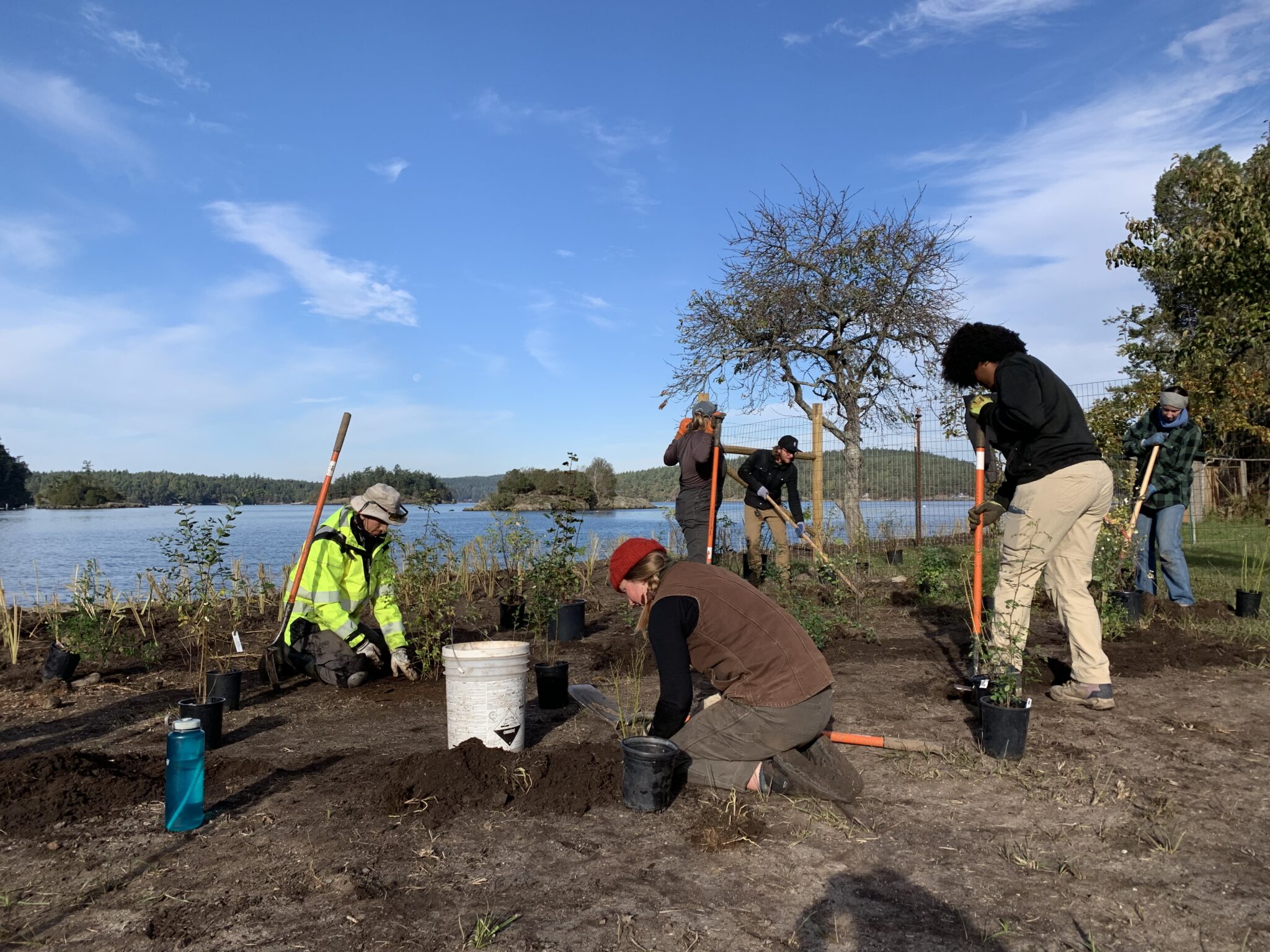 The Rebirth of a Beach With a Big Impact - Friends of the San Juans