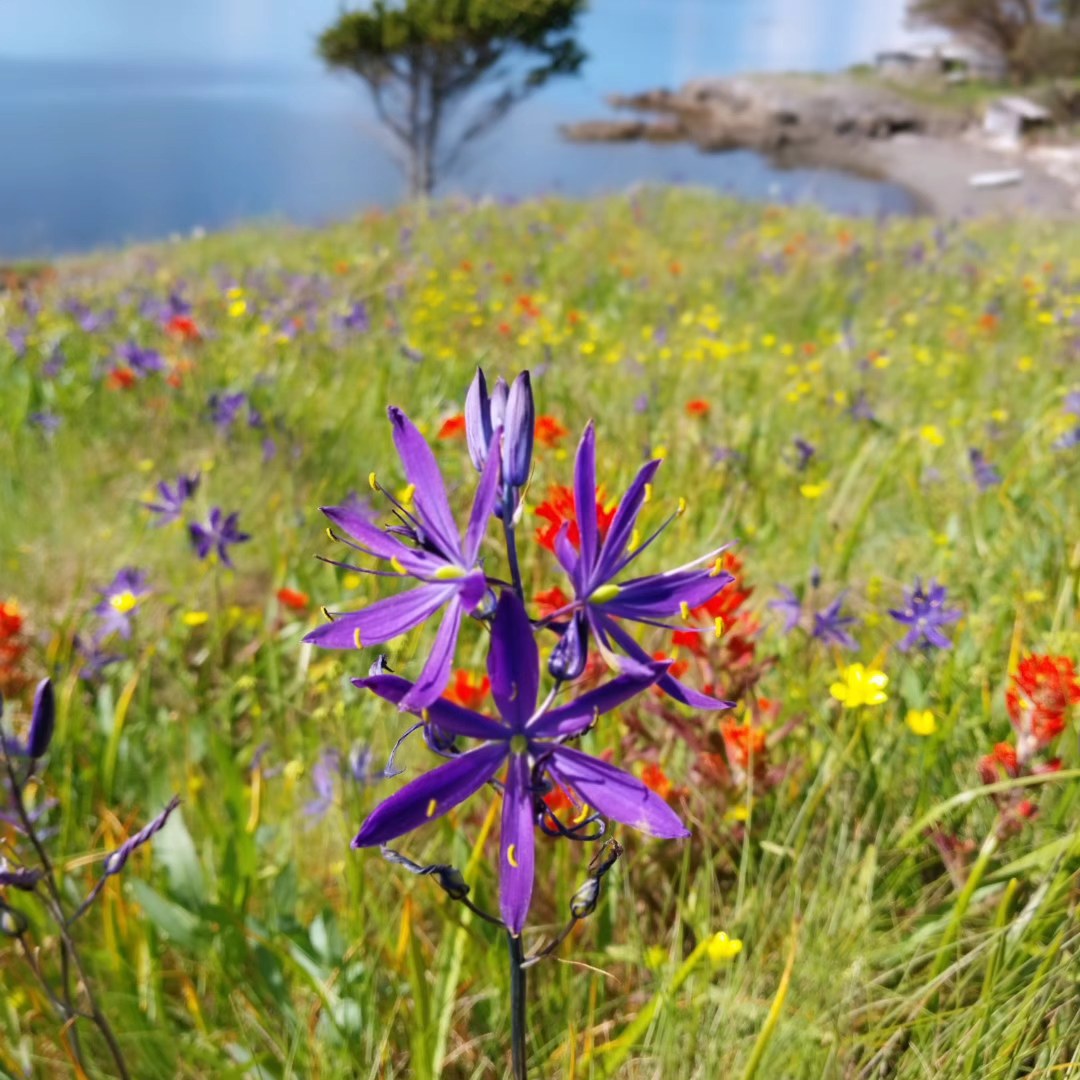 Artists on Yellow Island