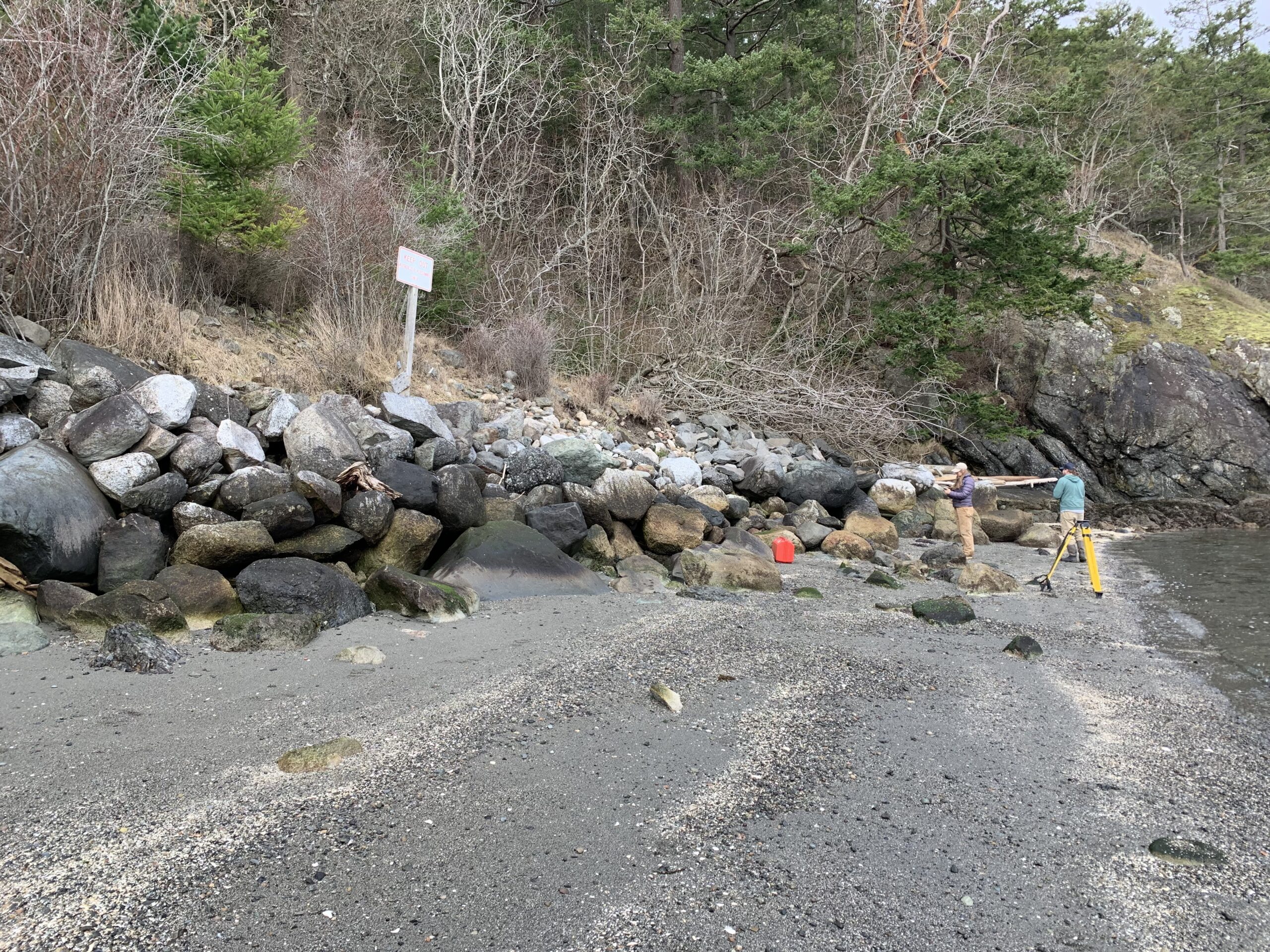 Upright Head Beach Restoration (Lopez) – In Progress