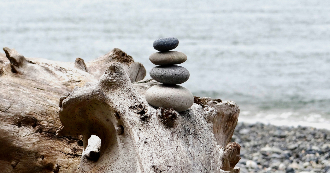 Summer Volunteering with Friends