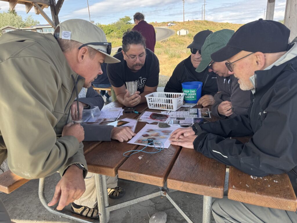Community science volunteers during an outdoor shoreline monitoring activity.