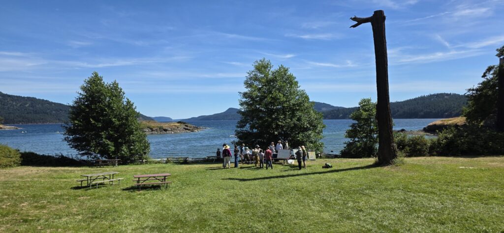 group of people gathering on the lawn on a san juan island