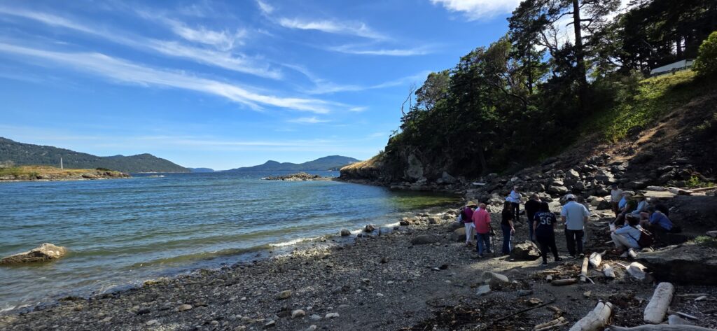 group of people standing on the shoreline 