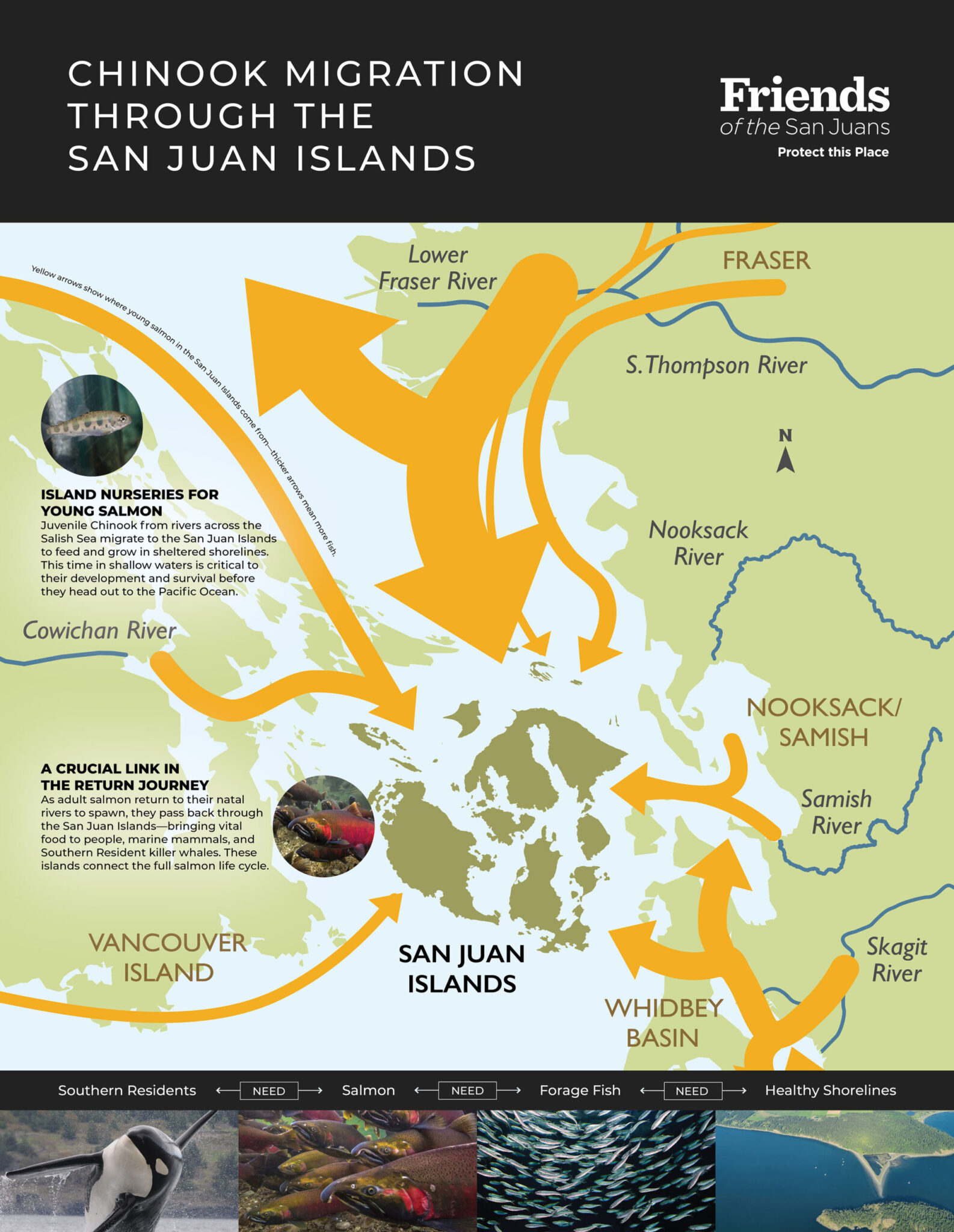 The Little Fish - Friends of the San Juans