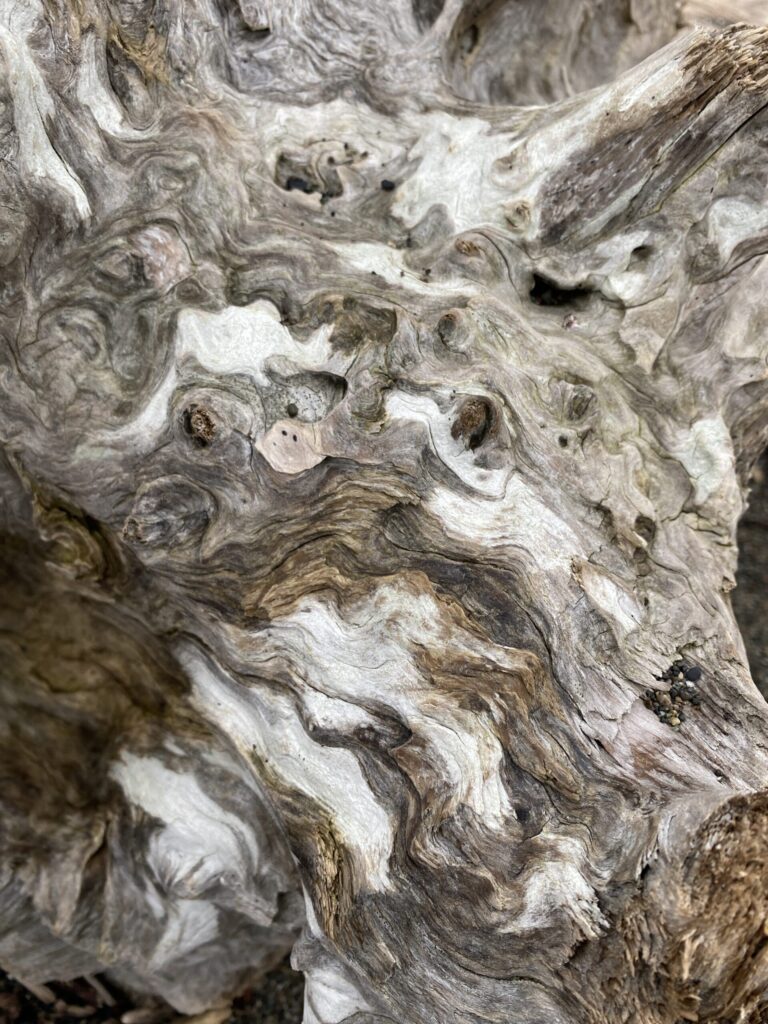 Local Protector Poetry: Driftwood by W. A. Schmidt (Wasakalobo)