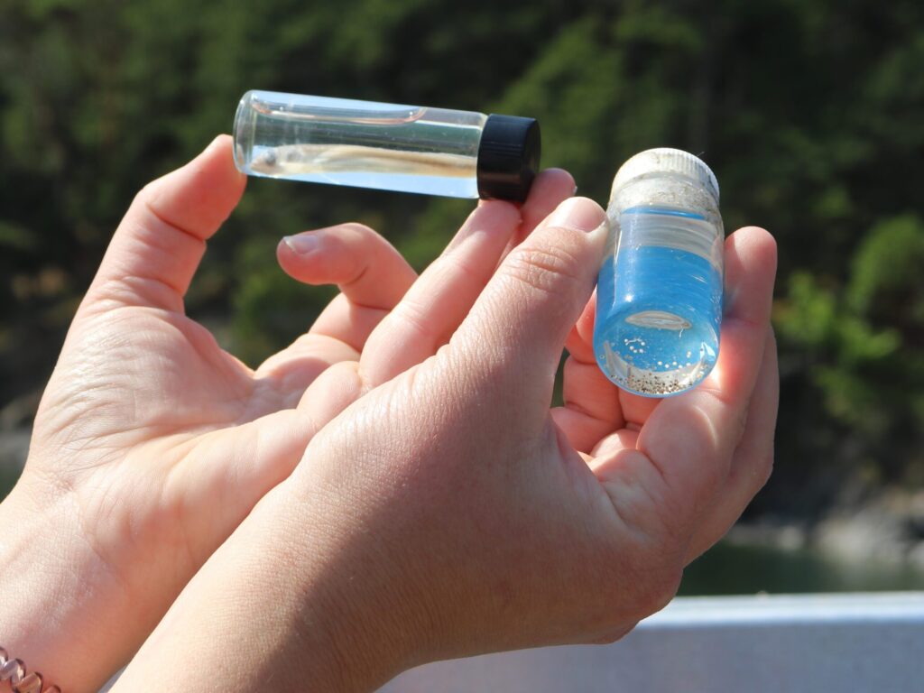 person holding two vials in their hands