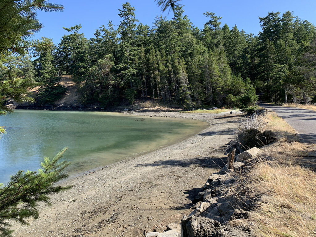 Friends of the San Juans Restores Critical Shoreline Habitat at Neck Point, Shaw Island
