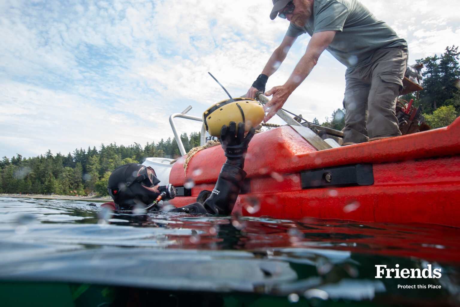 Shoreline Ecosystems - Friends of the San Juans