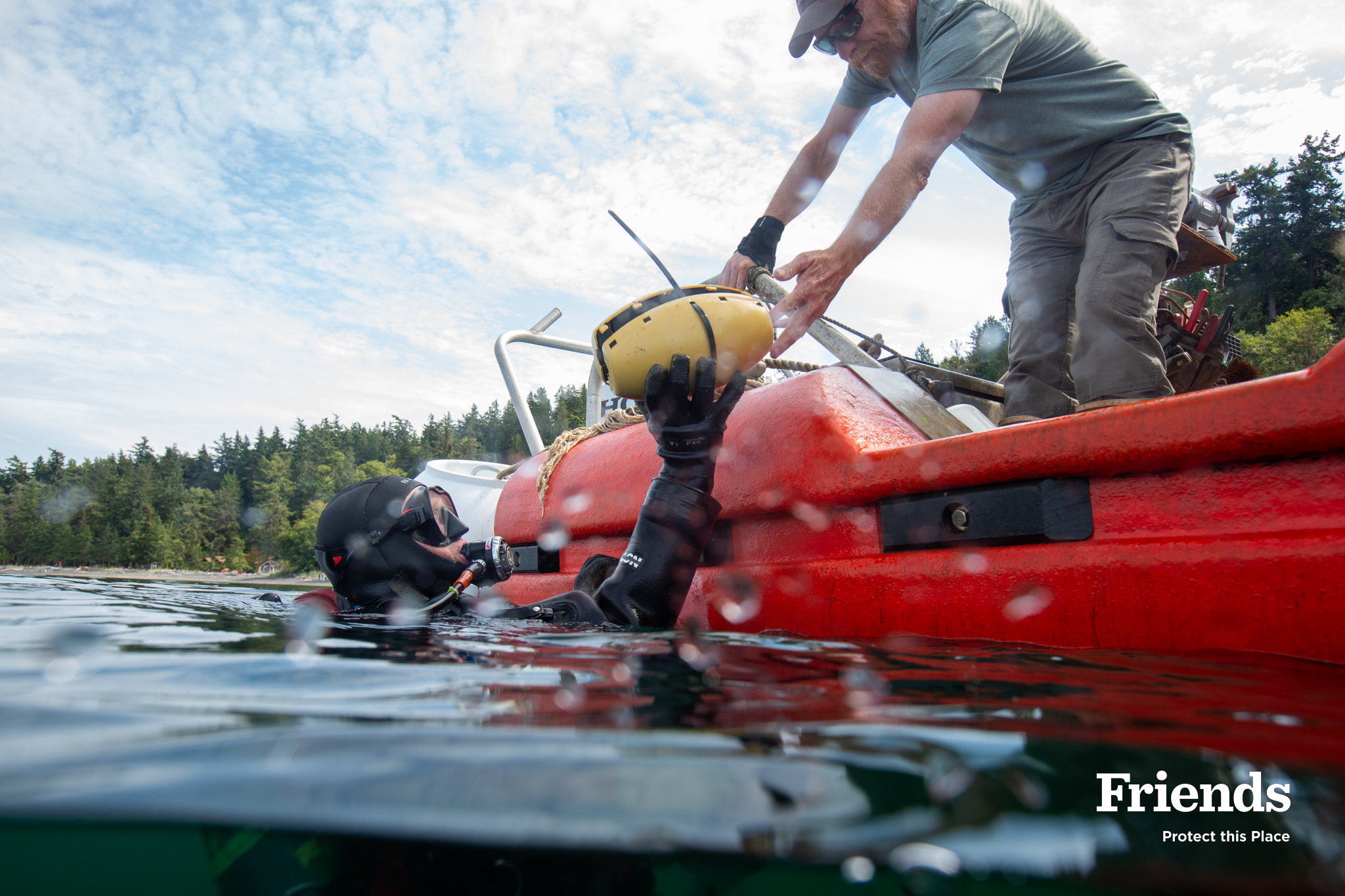 Restoring Eelgrass to Protect Herring and Salmon