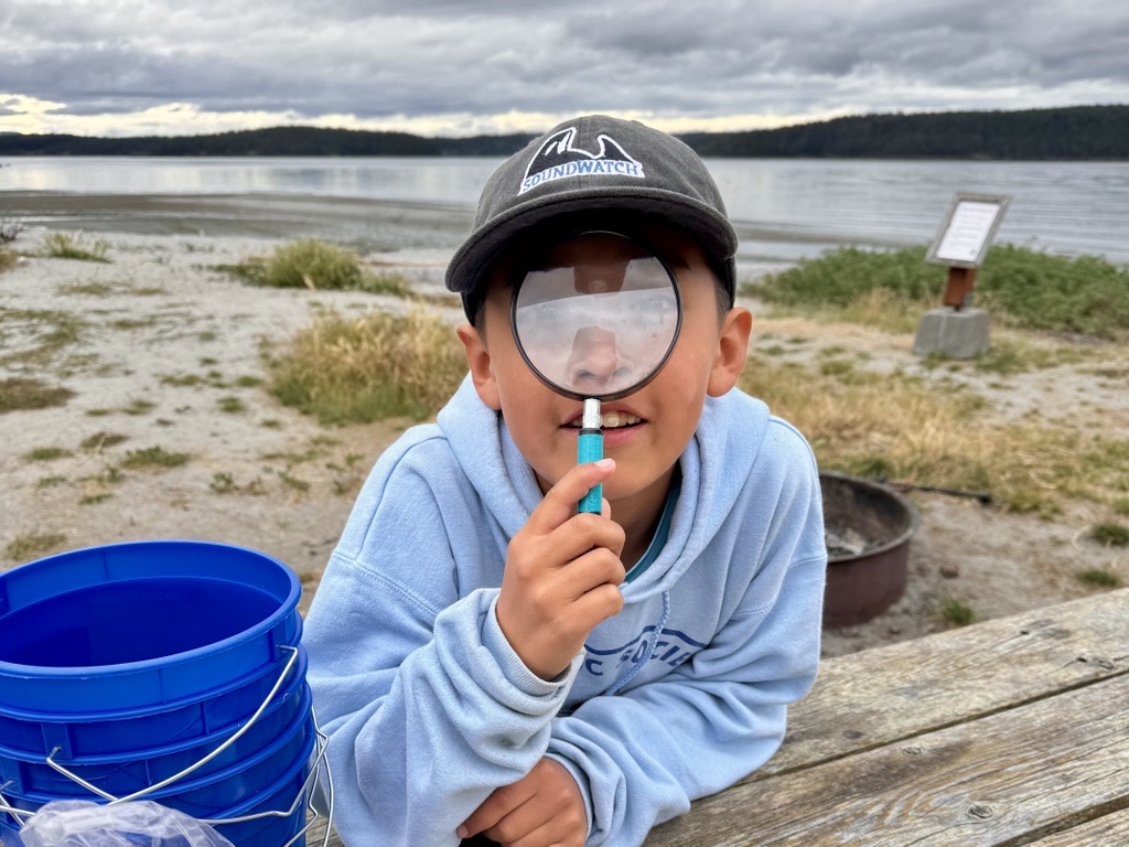 boy in a hat looking through the magnifying glass