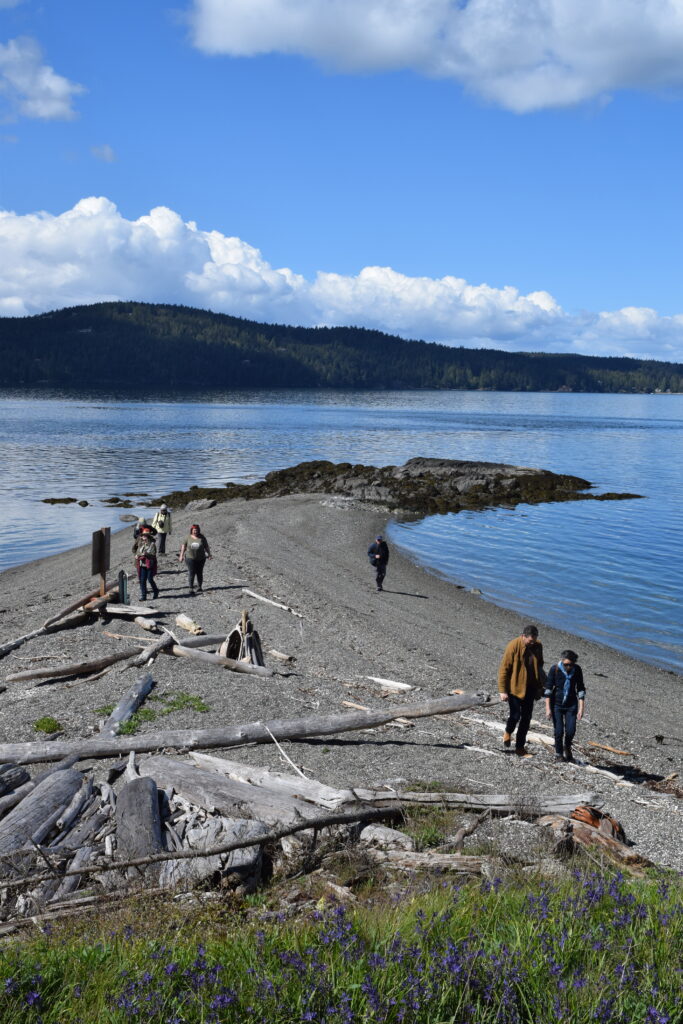 people walking on the beach on yellow island