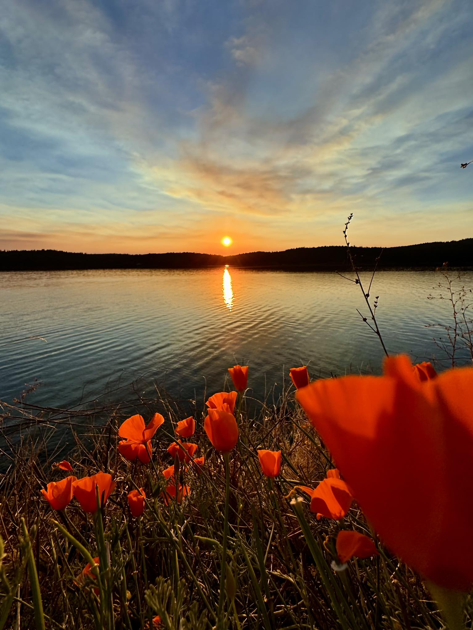 westsound orcas island at sunset