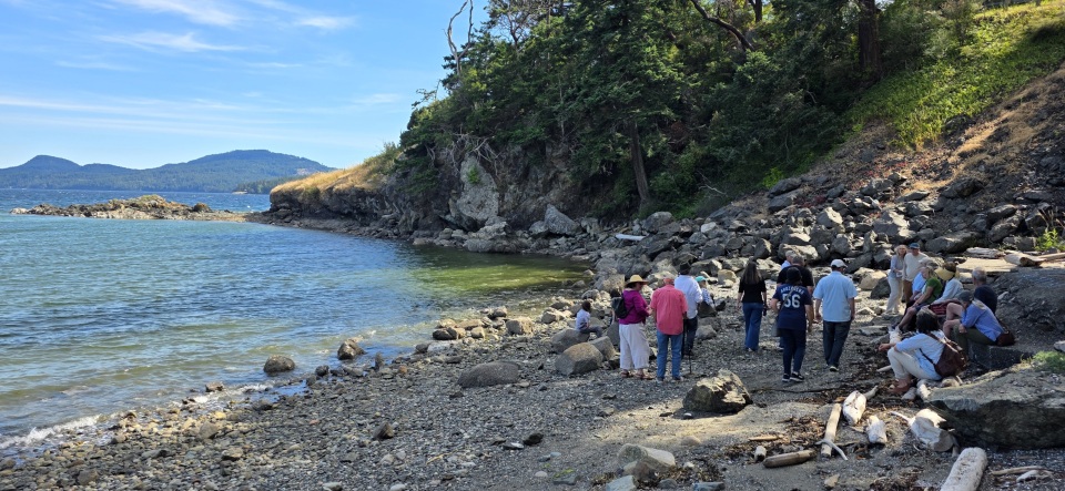 A group of people on a beach on a guided walk.