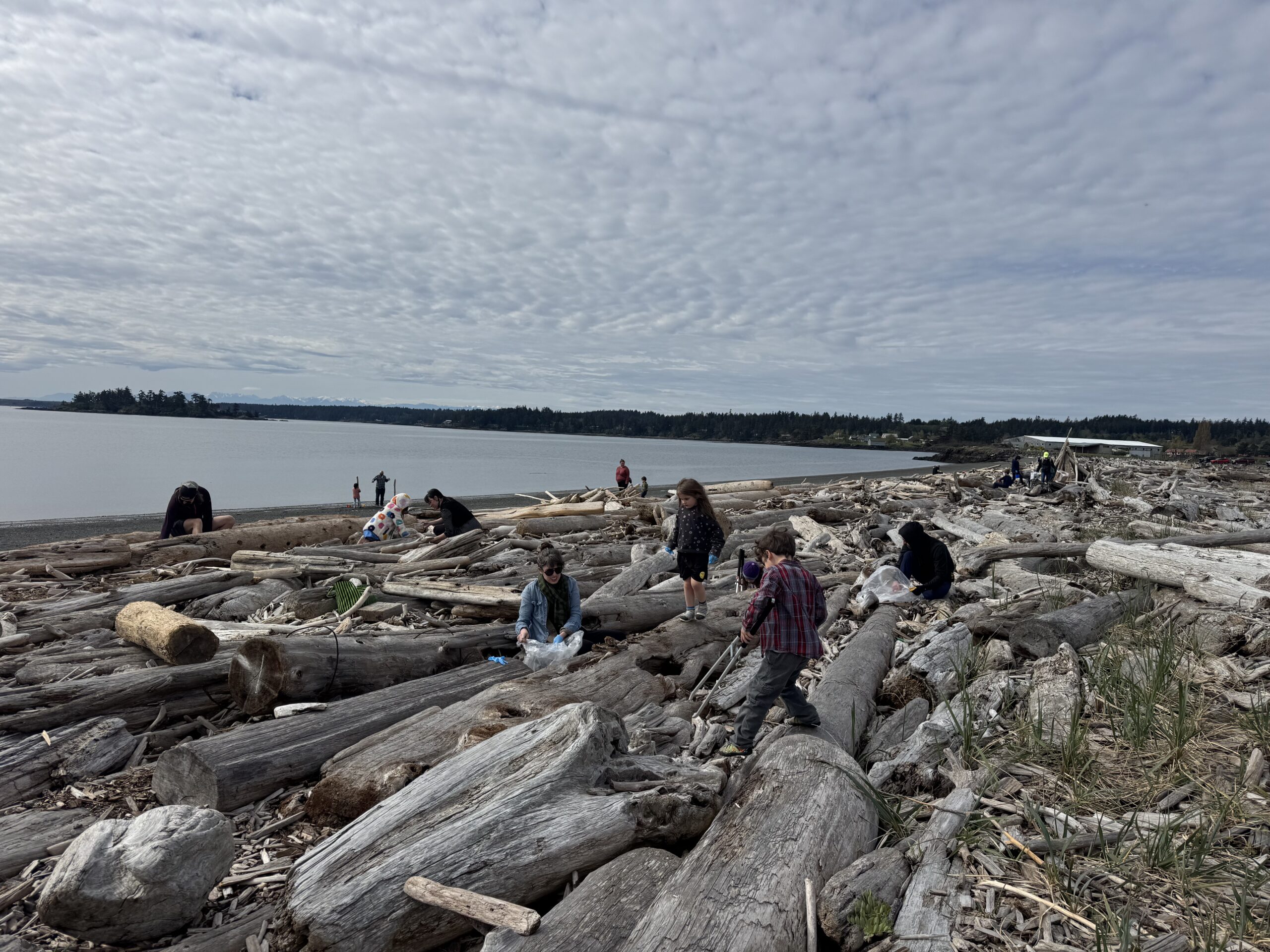 Tiny Plastics, Big Problem: Building Momentum to Stop Nurdle Pollution