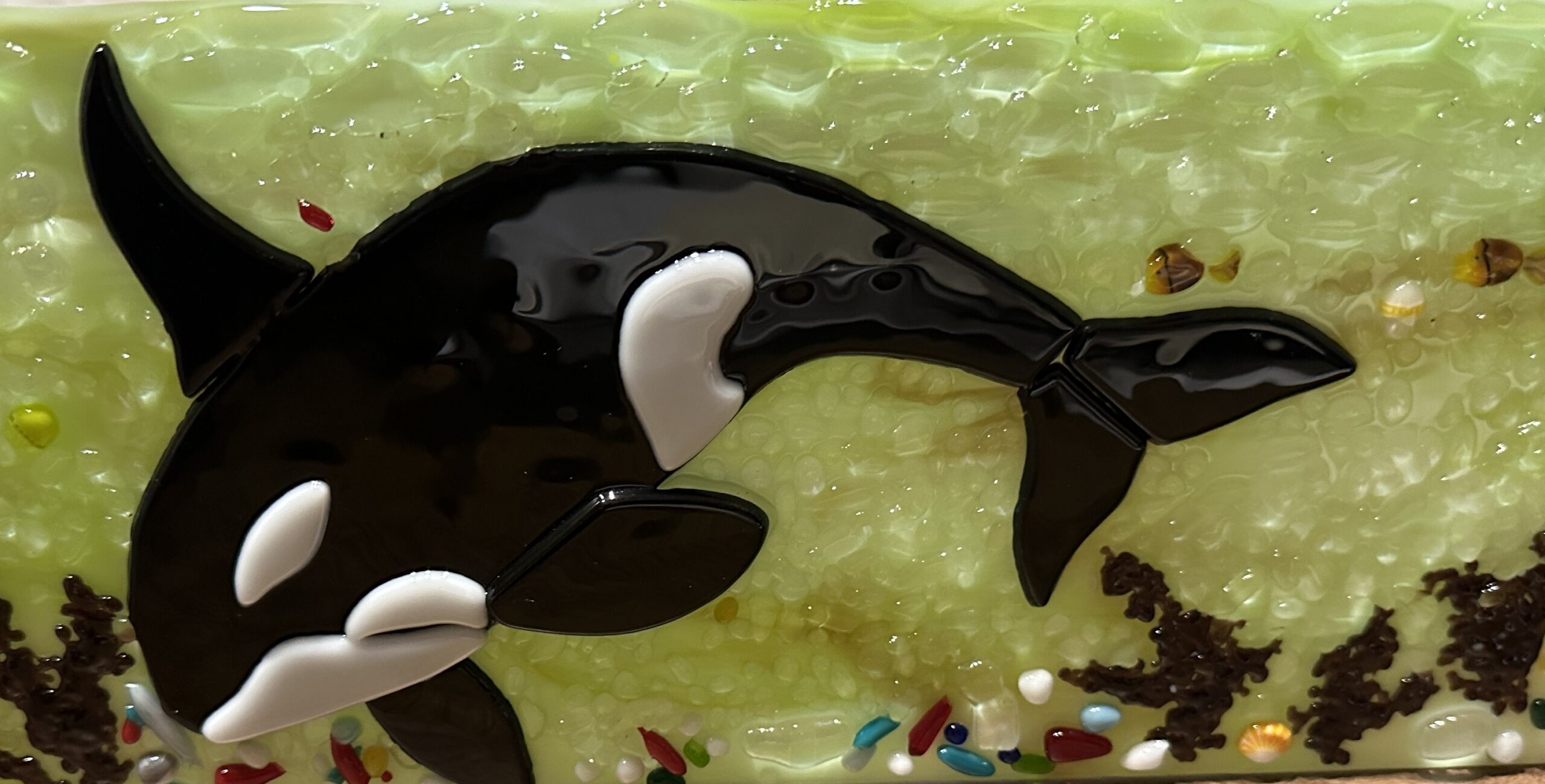 Marine Protection and Policy Director Lovel Pratt wins Conservation Partnership Award