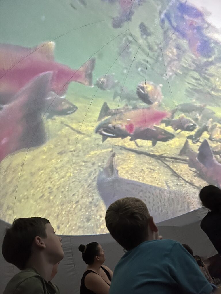 People inside the Salish Sea Dome watching an underwater video projection of salmon.